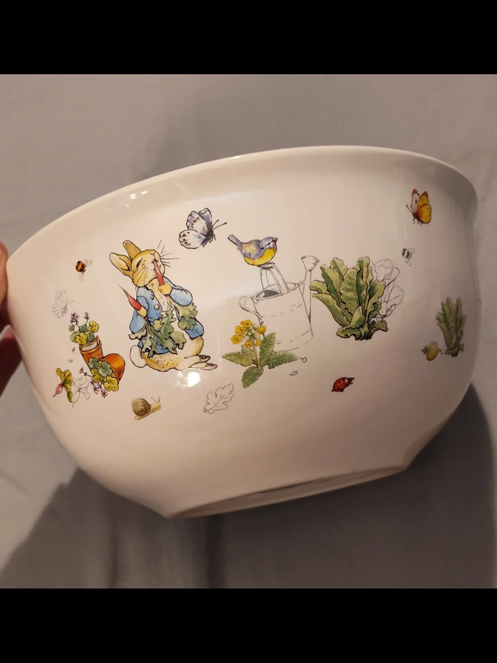 Williams-Sonoma Peter Rabbit Ceramic Bowl